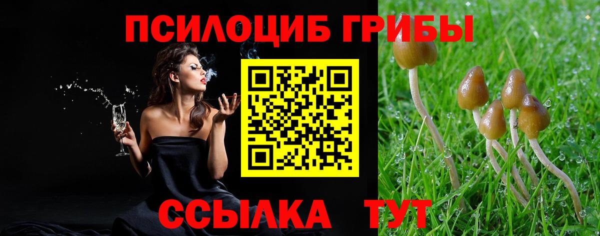Псилоцибиновые грибы Magic Shrooms Усолье-Сибирское