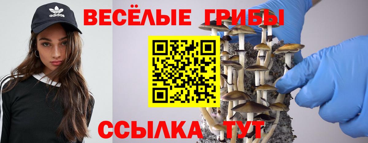 Галлюциногенные грибы Cubensis  Вход с VPN  Усолье-Сибирское 